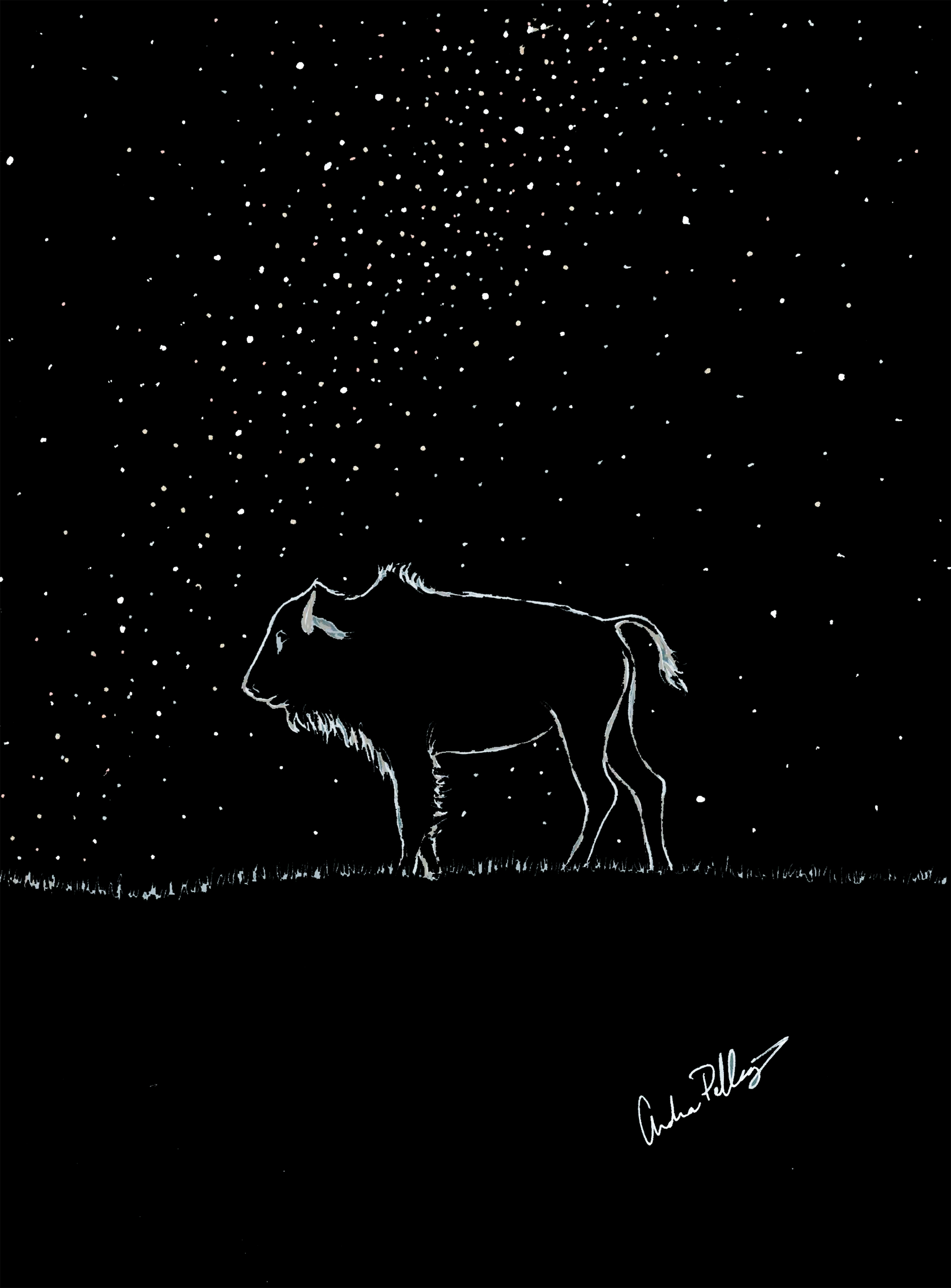 Night Bison — moonlit stroll through the Black Hills