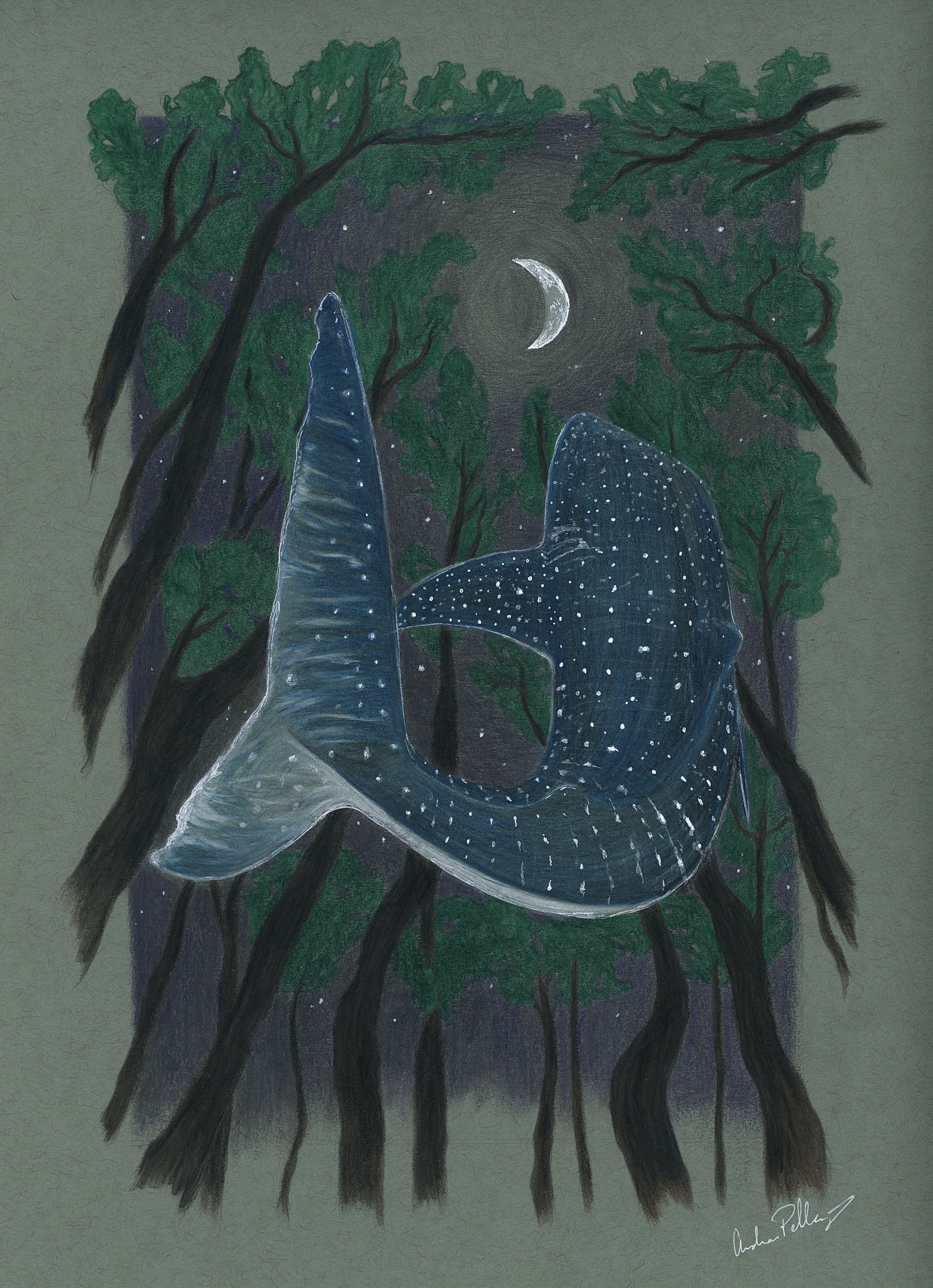 Night Swimmer's Sky