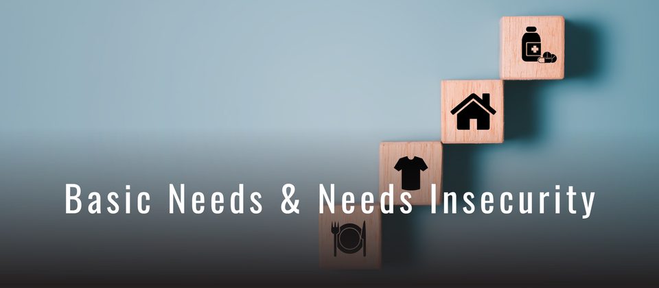 Episode 95: Basic Needs & Needs Insecurity