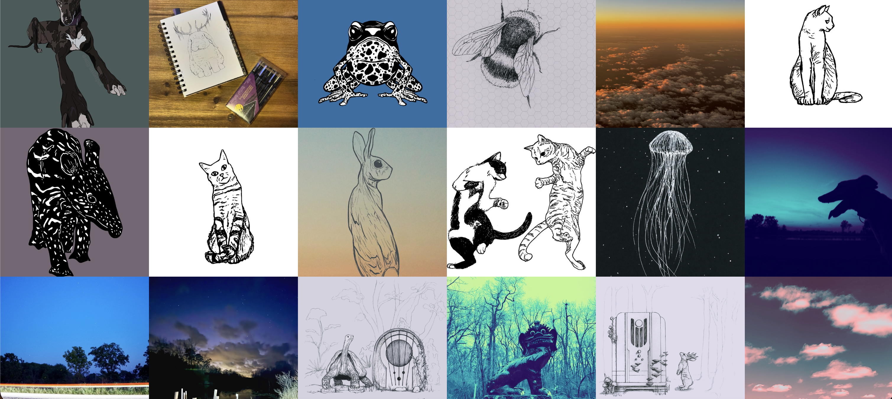 Andrea Pellegrini's Cara portfolio
